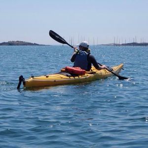 Meet your Posher, Lori